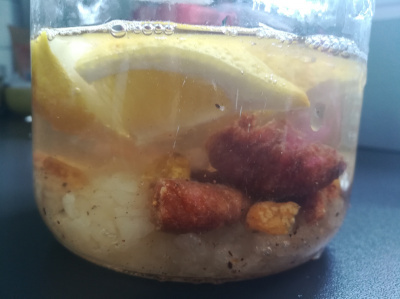 Microbiote intestinal et Aliments fermentés